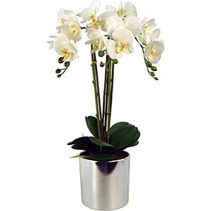 Leaf Ontwerp UK Realistische Kunstmatige Orchidee Bloem Display in Pot