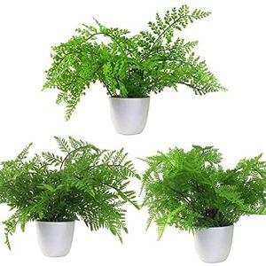 Leaf Design UK Realistische kunstmatige kamerplanten in pot, 30 cm