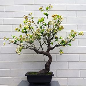 Leaf Kunstboom, Gemengde Materialen, Bonsai Witte Bloesem, 60cm