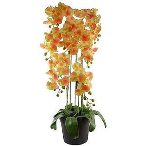 Leaf Design UK Realistische Kunstmatige Orchidee Bloem Display in Pot