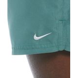 Nike, Heren, Badkleding, Groen, Maat: L