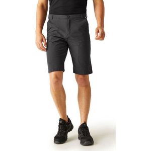 Regatta Shorts Highton ShortLong