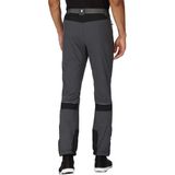 De Mountain III wandelbroek van Regatta - heren - grijs