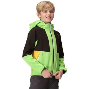 Regatta Haydenbury softshelljas voor kinderen, uniseks, Groen, 11-12 jaar