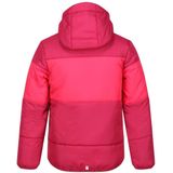 Regatta Lofthouse Vii Jas