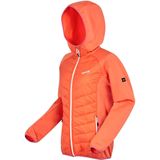 Gevulde Jas Dames Insulated Hooded Andreson V Hybrid