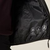 Regatta - Hillpack II - Gewatteerde Jas - Lichtgewicht - Dames