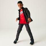 Regatta - Cera - Softshelljack - Groen - Gerecycled Materiaal - Weerbestendig