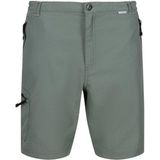 Regatta Shorts Leesville Shrt II