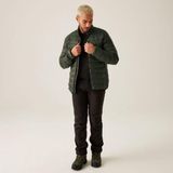 Regatta - Marizion - Gewatteerde Jas - Groen - 2XL - Man