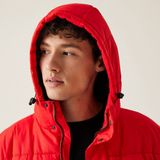 Regatta - Falkner - Gewatteerde Jas - Waterafstotend - Heren