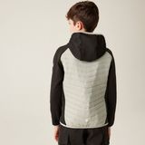 Regatta - Kielder Hybrid VIII - Softshell Jack - Weerbestendig - Voor Kinderen