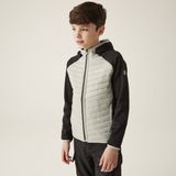 Regatta - Kielder Hybrid VIII - Softshell Jack - Weerbestendig - Voor Kinderen
