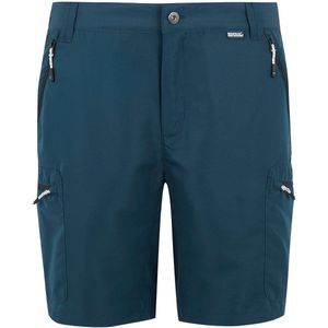 Regatta - Leesville III - Korte Broek - Grijs - Sneldrogend, Waterafstotend, UPF 50+