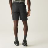 Regatta Leesville III Shorts
