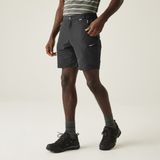 Regatta Leesville III Shorts