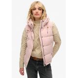 Superdry - Everest - Damesjack - Mouwloos - Met Capuchon