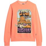 Superdry - Neon Travel - Sweatshirt - Multicolor - Katoen
