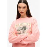 Superdry - Travel Souvenir Loose - Sweatshirt - Metallic Print