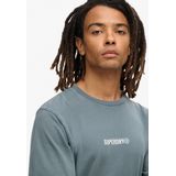 Superdry Micro Logo Graphic Loose T-shirt Met Korte Mouwen Grijs L Man