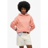 SUPERDRY - Studios Hoodie - Groen - Katoen