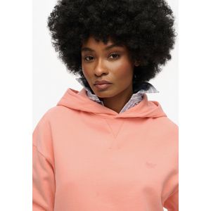 SUPERDRY - Studios Hoodie - Groen - Katoen