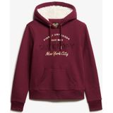 Superdry - Luxe Metallic Logo Hoodie - Gevoerd - Relaxed Fit