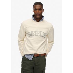 Superdry Hoodie Overhead Grijs heren