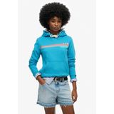 Superdry - Rainbow Stripe Hoodie - Multicolor - Katoen