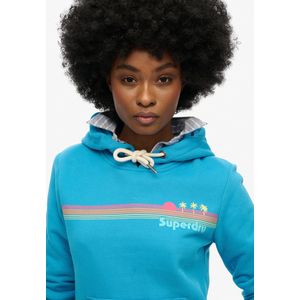 Superdry - Rainbow Stripe Hoodie - Multicolor - Katoen