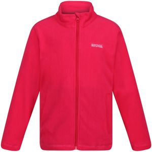 Regatta Groot buitenshuis kinderen/kinderen king ii lichtgewicht full zip fleece jasje