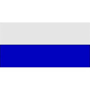 Carta Sport Hoekvlag (29,5 cm x 36,5 cm) (Wit/royaal blauw)