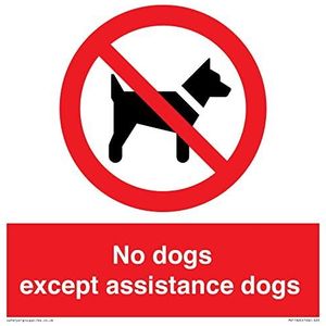 Panneau « No dogs except assistance dogs » - 200 x 200 mm - S20