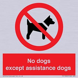 Panneau « No dogs except assistance dogs dogs » - 85 x 85 mm - S85