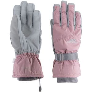 Trespass Vrouwen/dames Vizza II-handschoenen (Lila)