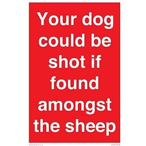 Uw hond kan worden neergeschoten als hij wordt gevonden tussen de schapen Sign - 200x300mm - A4P