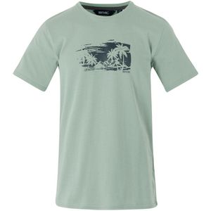 Regatta - Shirt Cline IX - Heren - Sportshirts