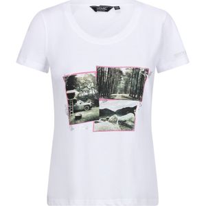 Regatta - T-shirt - Groen - Katoen - Ademend