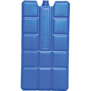 Carpoint Koelelement - 400 Gram