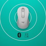 Logitech Signature M650 for Business muis Rechtshandig RF-draadloos + Bluetooth Optisch 4000 DPI