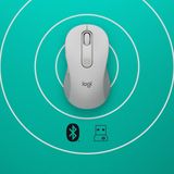 Logitech Signature M650 for Business muis Rechtshandig RF-draadloos + Bluetooth Optisch 4000 DPI