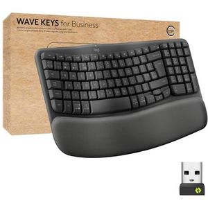 Logitech Wave-toetsen voor bedrijven, draadloos ergonomisch toetsenbord met gewatteerde palmsteun - grafiet, QWERTY Spaanse lay-out