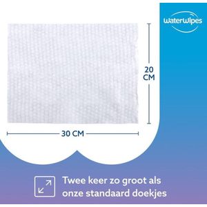 ProSkin Wet Wipe met plastic deksel | Vochtige reinigingsdoekjes voor volwassenen