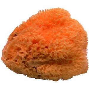 GERSON 20 A natuurlijke spons