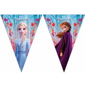 Disney Frozen 2 vlaggenlijn 2 meter - Perfect voor een kinderfeestje!