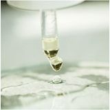 Korres - Santorini Grape - Gezichtsserum - 30 ml - Veganistisch