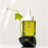 Korres - Santorini Grape - Gezichtsserum - 30 ml - Veganistisch