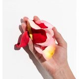 Korres - Apothecary Wild Rose - Gezichtsverzorging - 40 ml