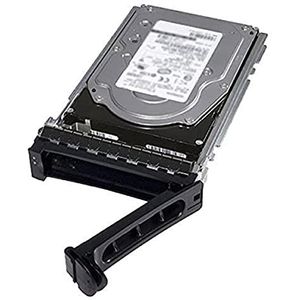 DELL 400-ALOB interne harde schijf 3.5" 2 TB NL-SAS