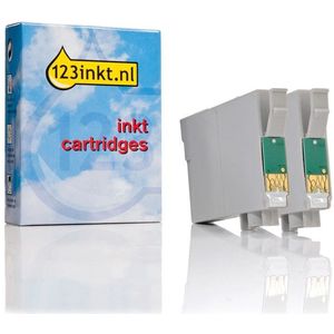 Inktpatroon Epson T0870 glansafwerking (gloss optimizer) 2 stuks (123inkt huismerk)